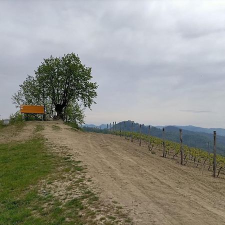 Monferrato Bed&Bike Hotel Murisengo Екстериор снимка