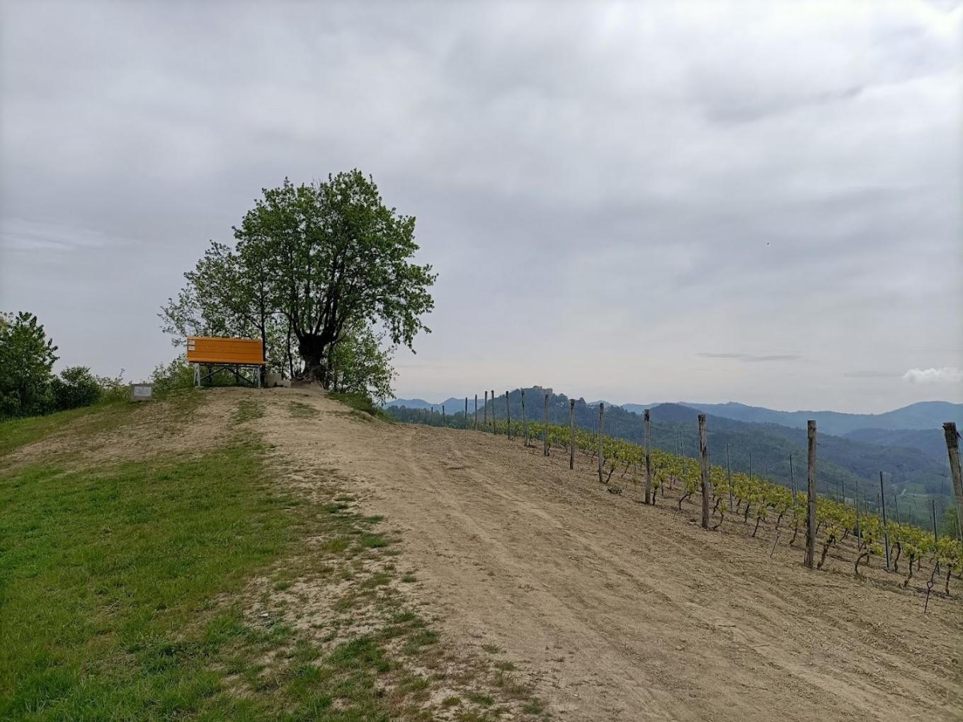 Monferrato Bed&Bike Hotel Murisengo Екстериор снимка